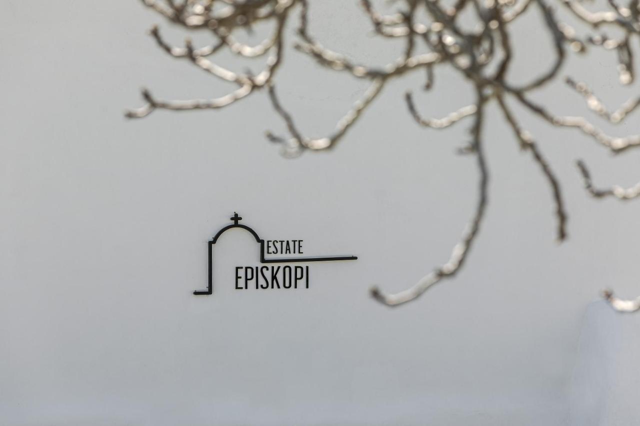Episkopi Estate Cycladic Villas Éxo Goniá Exterior foto